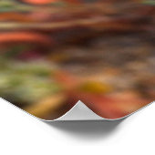 Poster Fleurs sauvages du lis du désert (Coin)