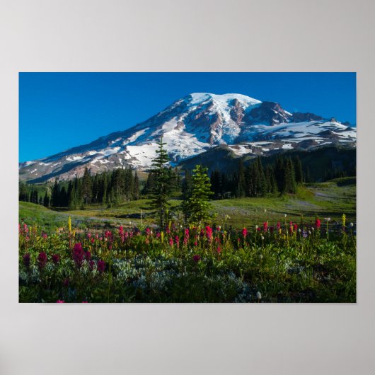 Poster Fleurs sauvages du Mont Rainer (Devant)