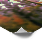 Poster Fleurs sauvages et étoiles (Coin)