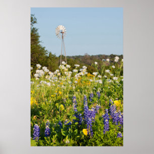 Poster Fleurs sauvages et moulin à vent dans Texas Hill C
