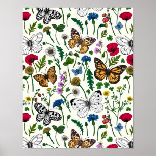 Poster Fleurs sauvages et papillons sur blanc