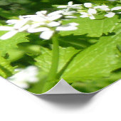 Poster Fleurs sauvages et une abeille (Coin)