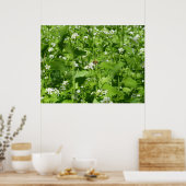 Poster Fleurs sauvages et une abeille (Cuisine)