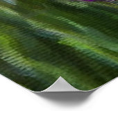 Poster Fleurs Sauvages, Fleurs De Cornouailles Et Poppies (Coin)