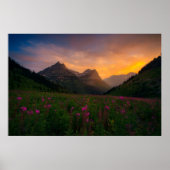 Poster Fleurs sauvages glaciers (Devant)