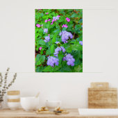 Poster Fleurs sauvages hawaïennes (Cuisine)