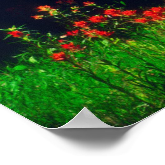 Poster Fleurs sauvages indiens (Coin)