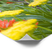 Poster Fleurs sauvages indiens de pinceaux et de biscuits (Coin)