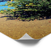 Poster Fleurs sauvages Jaunes Dans Le Sable (Coin)