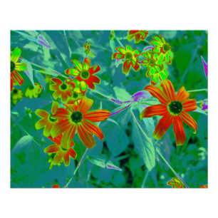 Poster Fleurs sauvages jaunes et rouges hallucinantes sur
