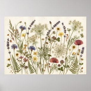 Poster Fleurs Sauvages Séchées Art Botanique d'Herbier
