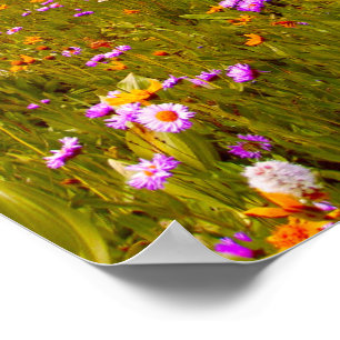 Poster Fleurs sauvages sur prairie de montagne - Jaunes V
