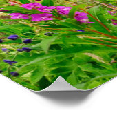 Poster Fleurs sauvages Vallée d'Alaska (Coin)