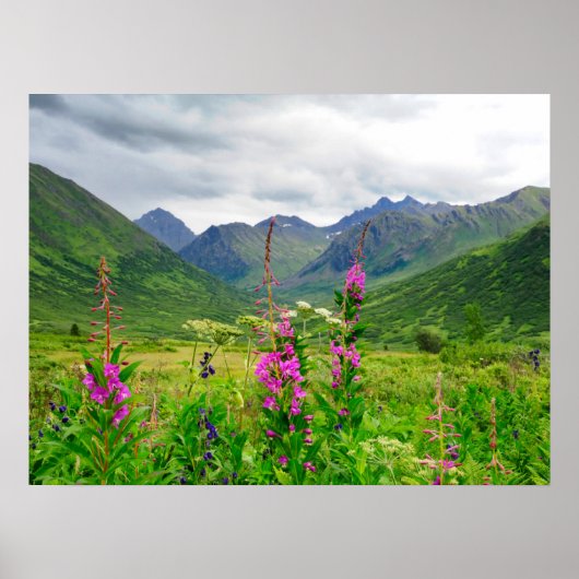 Poster Fleurs sauvages Vallée d'Alaska (Devant)