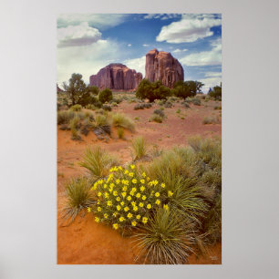 Poster Fleurs sauvages - vallée de monument - l'Arizona