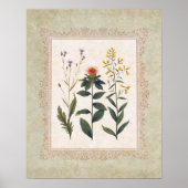 Poster Fleurs sauvages vintages Botanique antique (Devant)