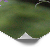 Poster Fleurs sauvages violets (Coin)