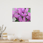 Poster Fleurs sauvages violets (Cuisine)