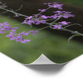 Poster Fleurs sauvages violettes (Coin)