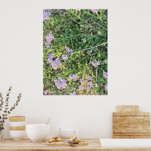 Poster Fleurs sauvages violettes dans un jardin naturel