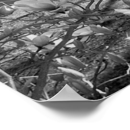 Poster Fleurs sélectionnées (Coin)