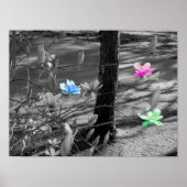 Poster Fleurs sélectionnées (Devant)