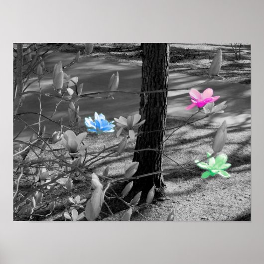 Poster Fleurs sélectionnées (Devant)