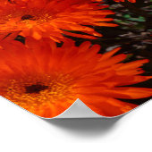 Poster Fleurs Succulentes Vertes et Oranges d'Afrique du  (Coin)