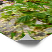 Poster Fleurs | Summer Matterhorn Suisse (Coin)