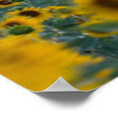Poster Fleurs | Sunflower Field Provence, France (Coin)