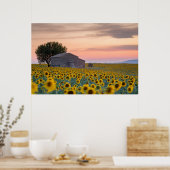 Poster Fleurs | Sunflower Field Provence, France (Cuisine)