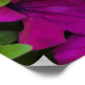 Poster fleurs sur le trottoir (Coin)