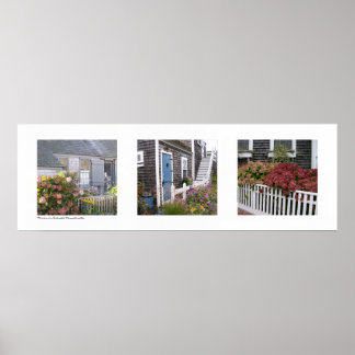 Poster Fleurs sur Nantucket, Massachusetts Triptych
