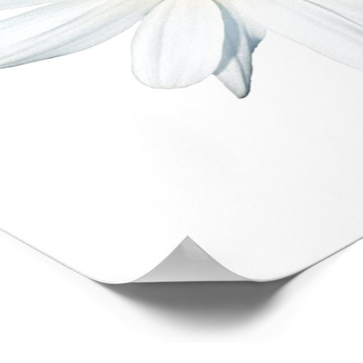 Poster Fleurs | Taille unique (Coin)