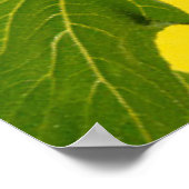 Poster Fleurs | Tournesol jaune (Coin)