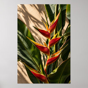 Poster Fleurs tropicales de l'oiseau de paradis - Art mur