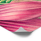 Poster Fleurs tropicales, fleur d'orchidées, feuilles de (Coin)