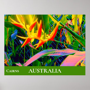 Poster Fleurs tropicales heliconia Queensland Australie