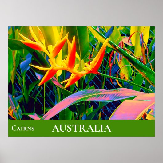Poster Fleurs tropicales heliconia Queensland Australie (Devant)