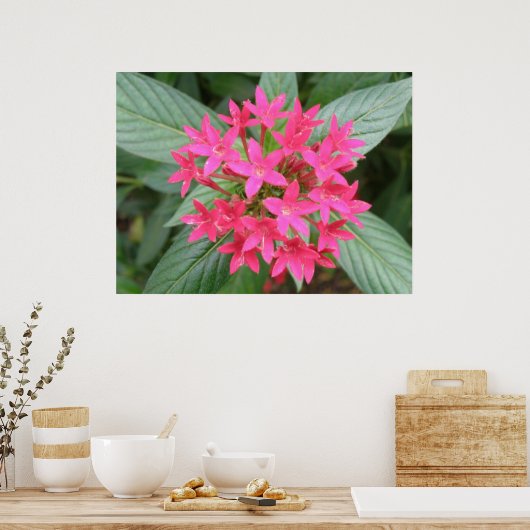 Poster Fleurs tropicales rose vif (Cuisine)