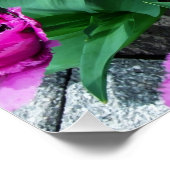 Poster Fleurs tulipes roses (Coin)