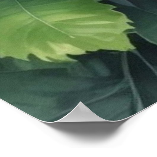 Poster Fleurs Verdure Elégante Aquarelle (Coin)