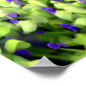 Poster fleurs vertes et violettes (Coin)