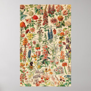 Poster Fleurs vintages