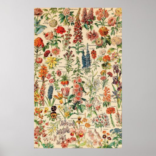Poster Fleurs vintages (Devant)