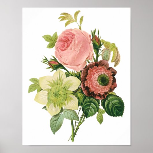 Poster Fleurs vintages, Anémones Roses Clematis par Redou (Devant)