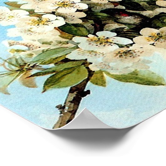 Poster Fleurs vintages d'Apple (Coin)