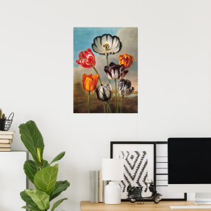 Poster Fleurs vintages de tulipes variées dans un paysage