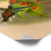 Poster Fleurs vintages d'impression de colibri de 1861 (Coin)