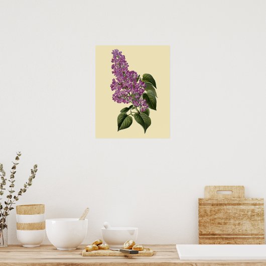 Poster Fleurs vintages Lilac (Cuisine)